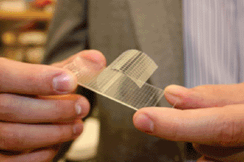 Image: The anisotropic medical adhesive tape (Photo courtesy of Karp Lab/Brigham and Women’s Hospital). 